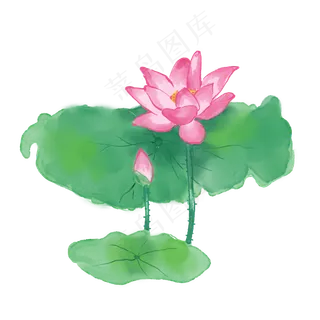 手绘水墨绿色夏季荷花,免抠元素