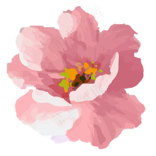 花瓣风格矢量玫瑰