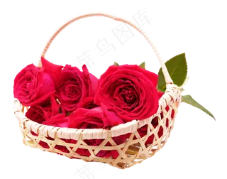 一篮新鲜玫瑰