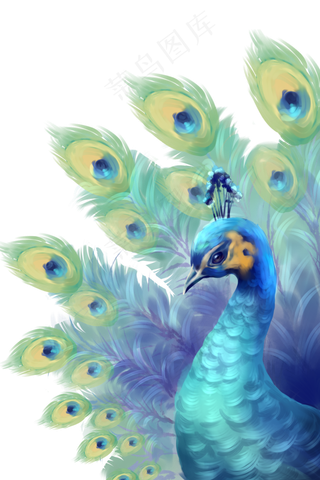 孔雀蓝孔雀动物,免抠元素
