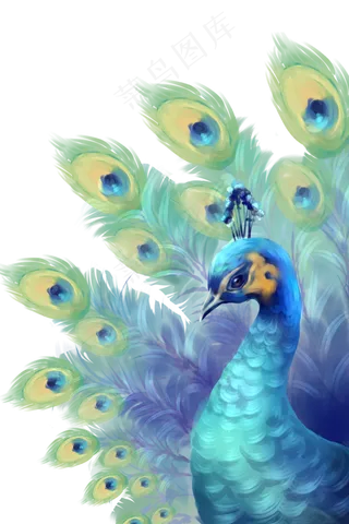 孔雀蓝孔雀动物,免抠元素
