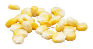 玉米颗粒粮食,免抠元素