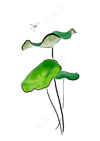 夏至手绘荷叶和蜻蜓