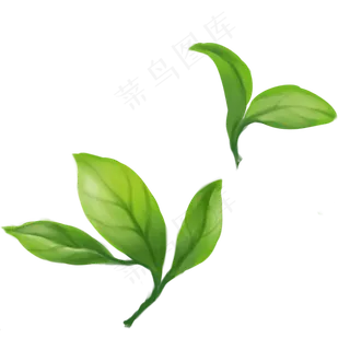 叶子,免抠元素