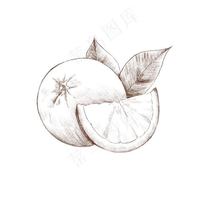 卡通手绘速写水果(2000*2000px 72 dpi )psd模版下载