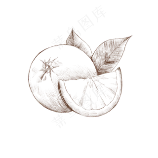 卡通手绘速写水果
