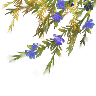 花朵花枝 花朵花枝