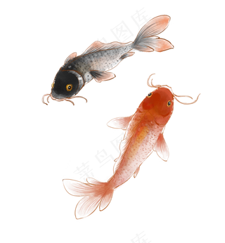 古风水墨锦鲤鲤鱼,免抠元素