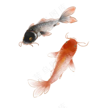 古风水墨锦鲤鲤鱼,免抠元素