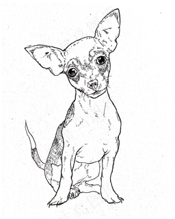 黑白线条手绘小狗装饰图,免抠元素