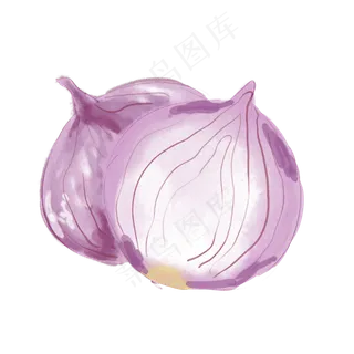 水彩小清新蔬菜洋葱