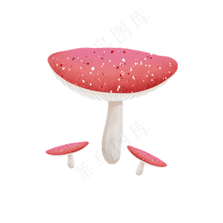 红色的小蘑菇