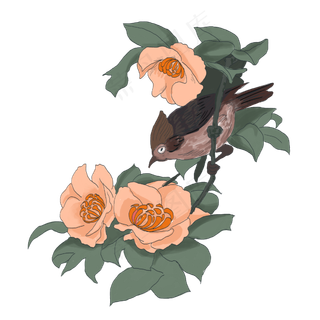 中国风手绘花鸟插图,免抠元素