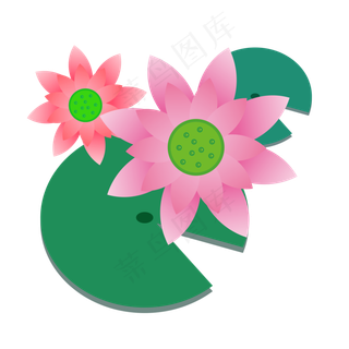 二十四节气之大暑荷叶荷花矢量图