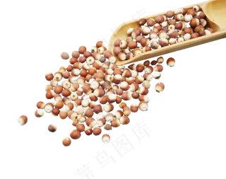 竹子药材芡实,免抠元素