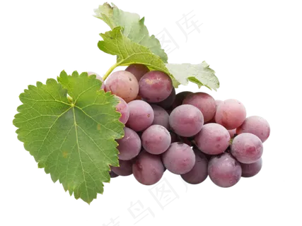 绿色有机葡萄,免抠元素