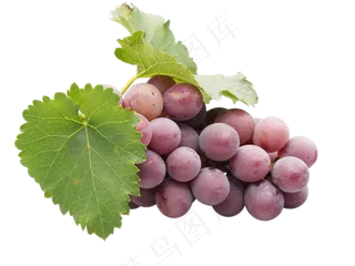 绿色有机葡萄,免抠元素