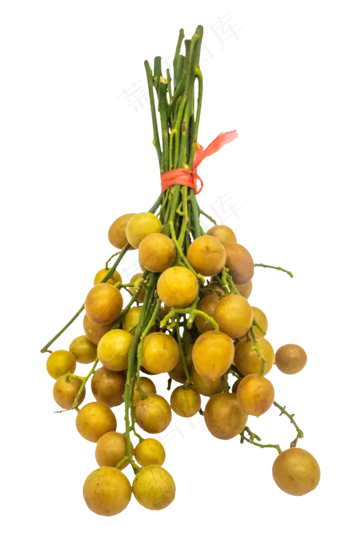 黄色圆形桂圆(2000X3000(DPI:330))psd模版下载