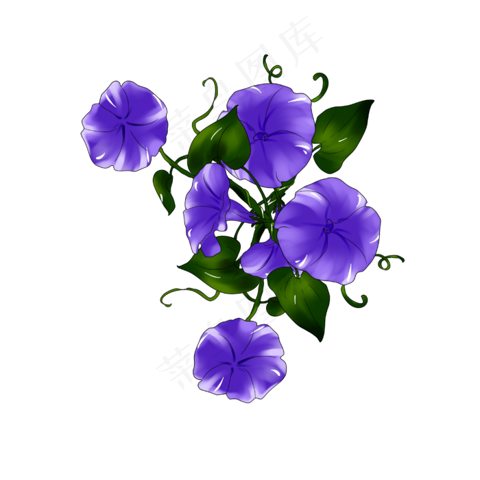 紫色牵牛花手绘装饰图案