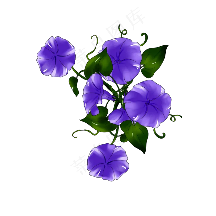 紫色牵牛花手绘装饰图案(3000X3000(DPI:299))psd模版下载