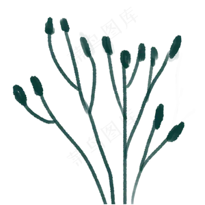 春天绿植PNG下载