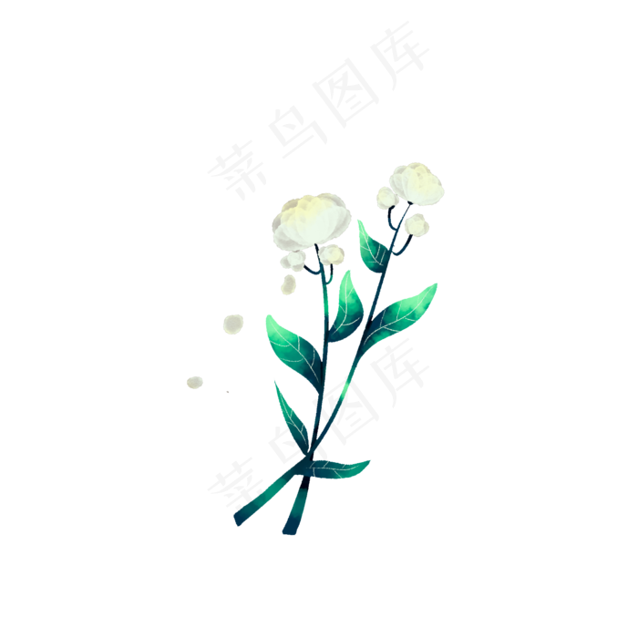 水彩清新茉莉花