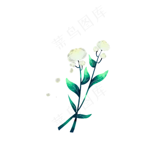 水彩清新茉莉花