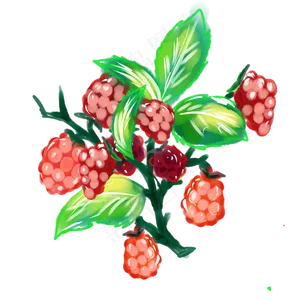 水彩水果蔓越莓黑莓