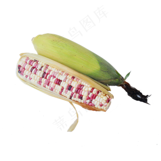 水果玉米