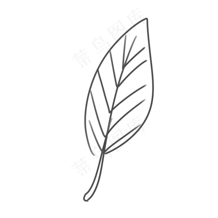 黑色手绘树叶线条(2000*2000px 300 dpi )ai矢量模版下载