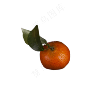 新鲜橘子水果甜食美味