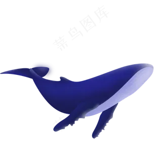 简约手绘鲸鱼装饰元素,免抠元素