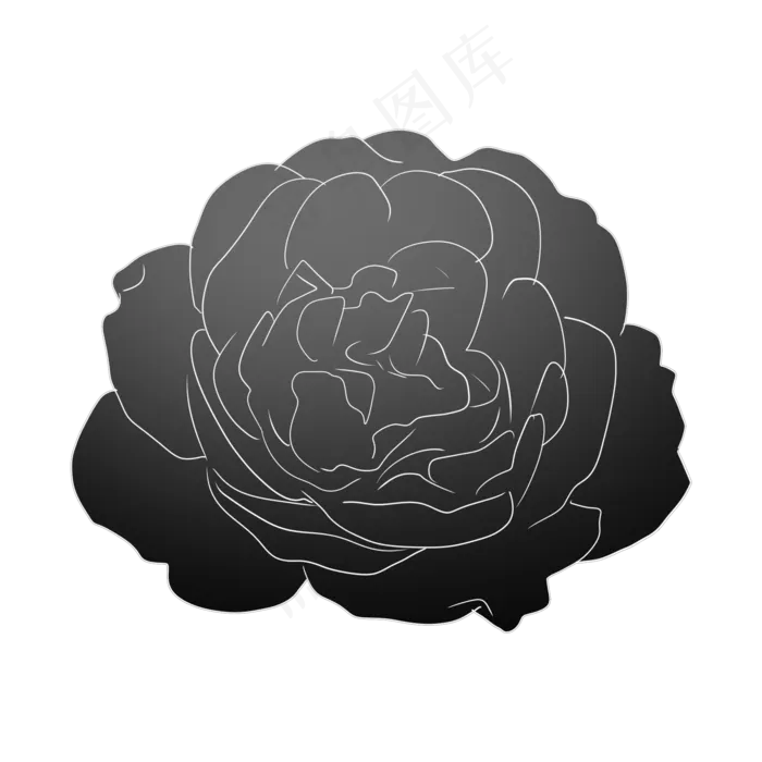 玫瑰花卉植物花朵(2000X2000(DPI:299))psd模版下载