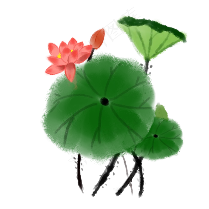 夏季水墨荷花荷叶装饰PNG,免抠元素(2000*2000px 300 dpi )psd模版下载