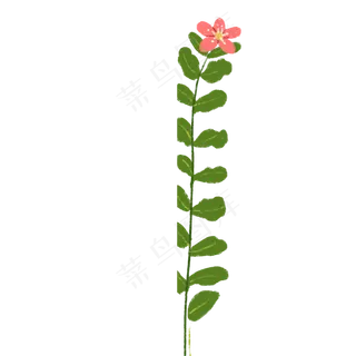 卡通美丽鲜花下载