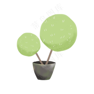 绿色的球形盆栽