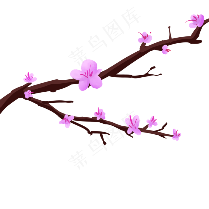 紫色的春天花枝插画