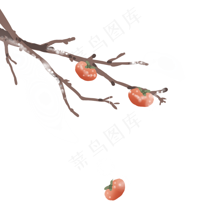 手绘柿子树秋天食物(1500X1500(DPI:300))psd模版下载