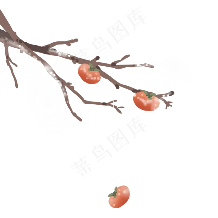 手绘柿子树秋天食物(1500X1500(DPI:300))psd模版下载
