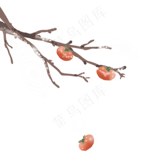 手绘柿子树秋天食物
