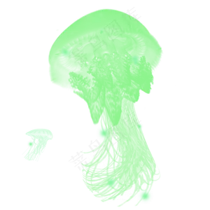 绿色浮游生物水母章鱼元素,免抠元素