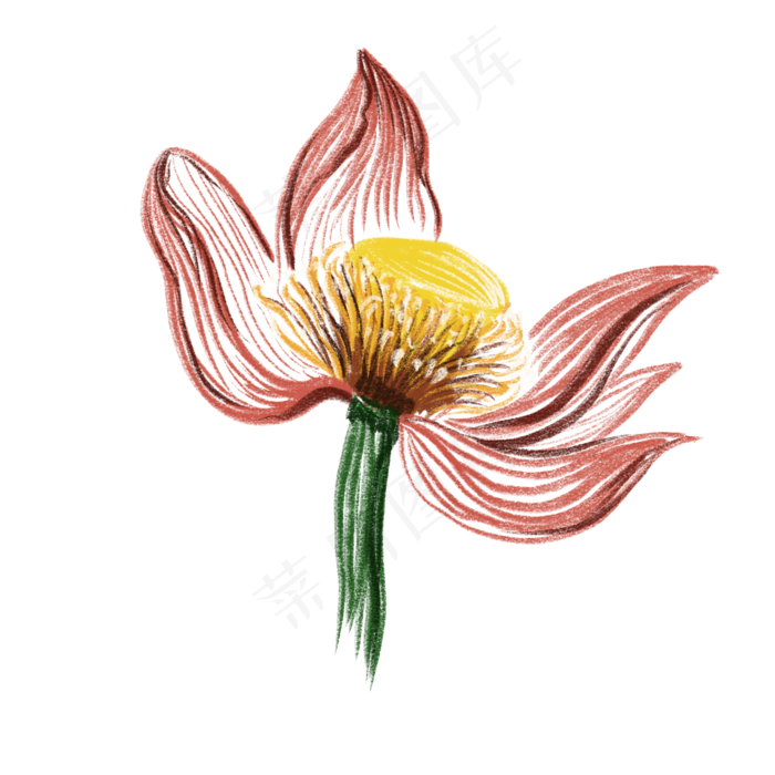 中国风插图写意荷花免抠插图(2000X2000(DPI:132))psd模版下载