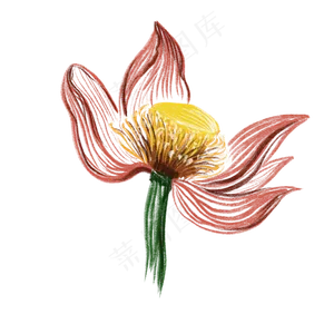 中国风插图写意荷花免抠插图