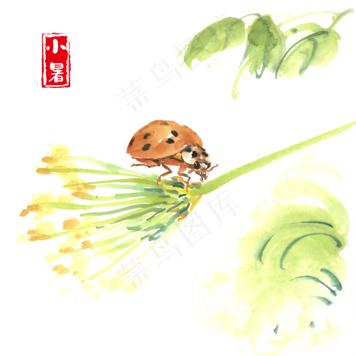 小暑植物与瓢虫