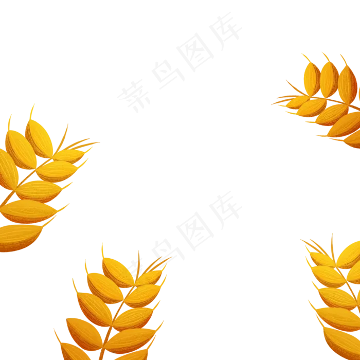 芒种麦子(2000X2000)