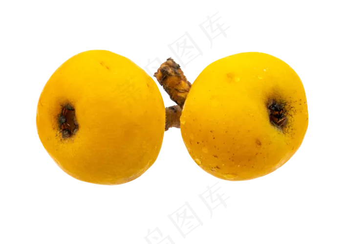 两个黄色枇杷(2000X2347(DPI:300))