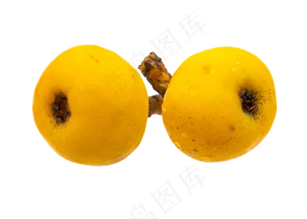 两个黄色枇杷