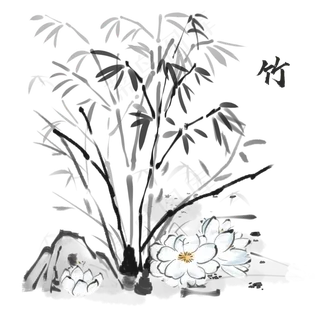 古风植物竹子素材,免抠元素