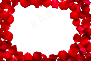 红玫瑰花瓣组成的圆