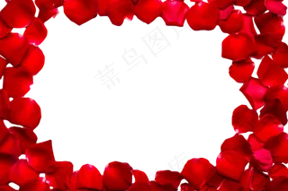 红玫瑰花瓣组成的圆